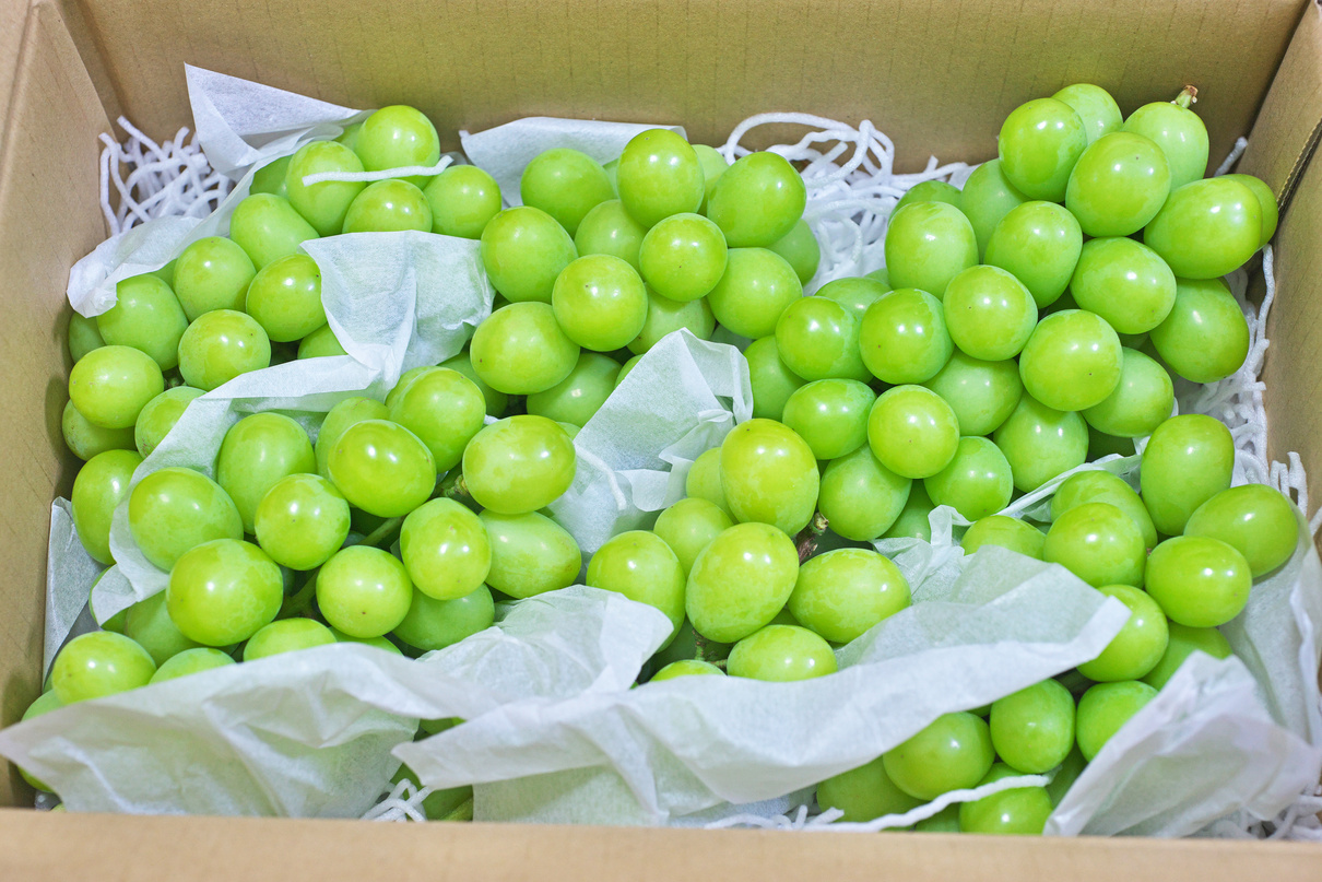 Shine Muscat